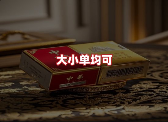 专业团队